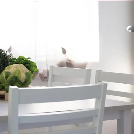 Amelia's Relax & Green *